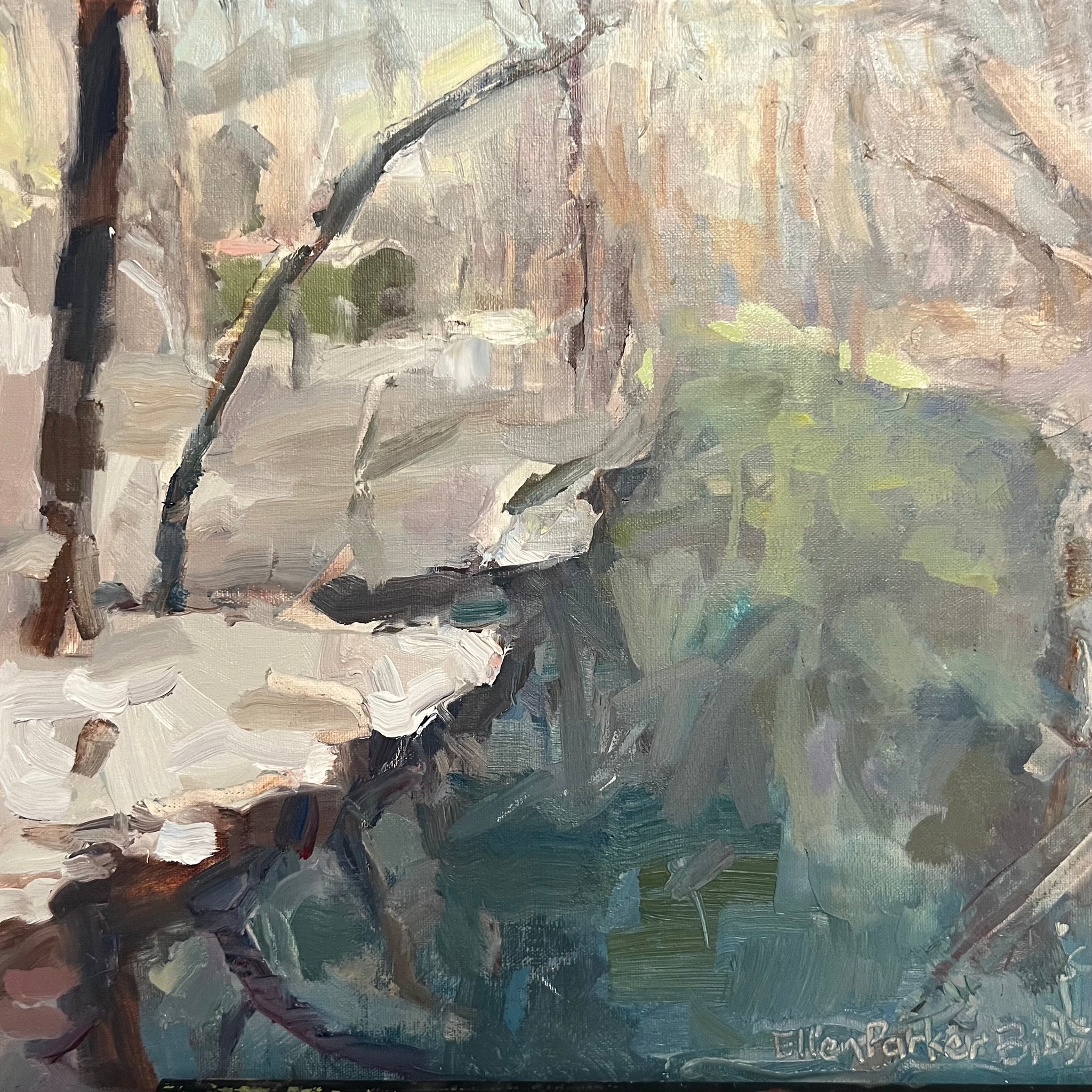 Cozy Cove
